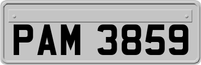PAM3859