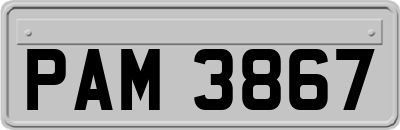 PAM3867