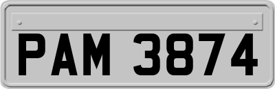 PAM3874