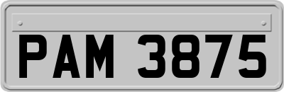 PAM3875