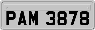 PAM3878