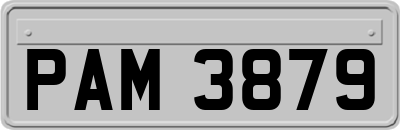PAM3879