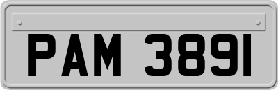 PAM3891