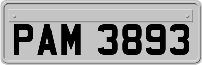 PAM3893