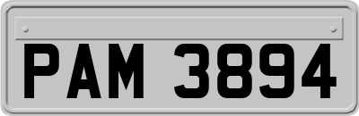 PAM3894