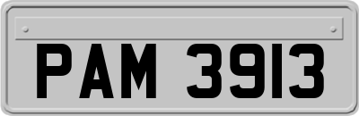 PAM3913