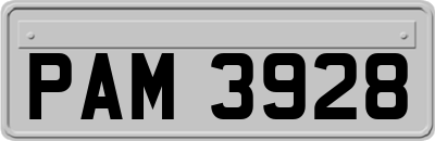 PAM3928
