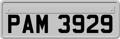 PAM3929
