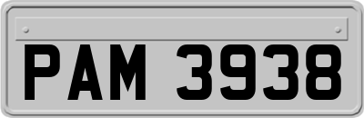 PAM3938