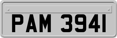 PAM3941