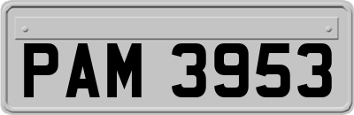 PAM3953