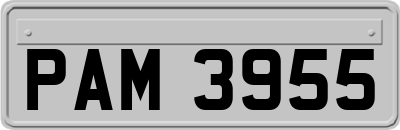 PAM3955