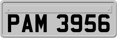 PAM3956