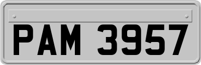 PAM3957