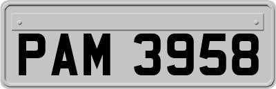PAM3958