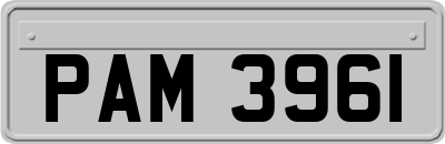 PAM3961