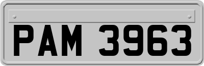PAM3963