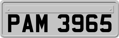 PAM3965