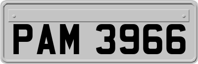 PAM3966
