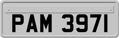 PAM3971