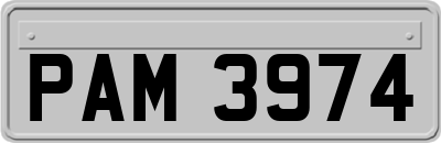 PAM3974