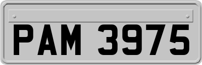 PAM3975