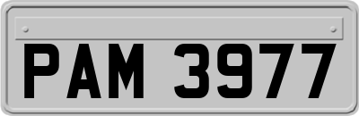PAM3977