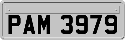 PAM3979