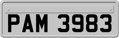 PAM3983