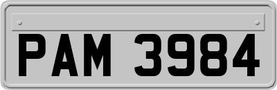 PAM3984