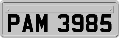 PAM3985