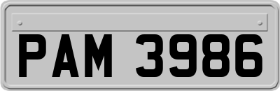 PAM3986