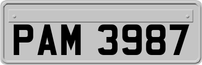 PAM3987