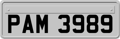 PAM3989