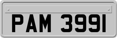 PAM3991