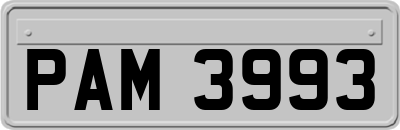 PAM3993