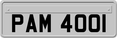 PAM4001