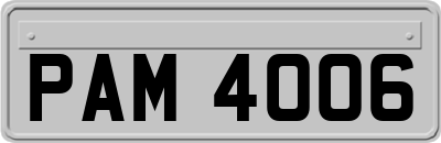 PAM4006