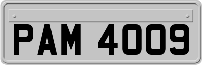 PAM4009