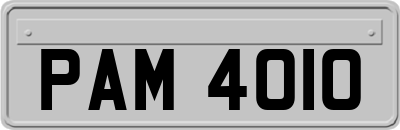 PAM4010