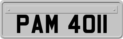 PAM4011