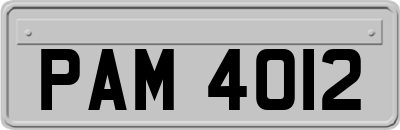 PAM4012