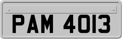 PAM4013
