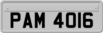 PAM4016