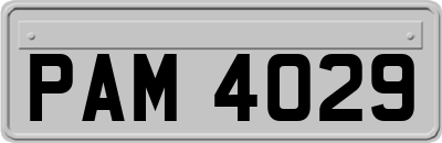 PAM4029