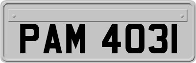 PAM4031