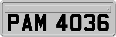 PAM4036