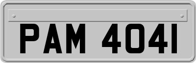 PAM4041