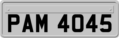 PAM4045