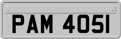 PAM4051